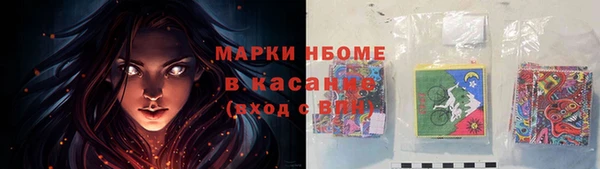 ГАЛЛЮЦИНОГЕННЫЕ ГРИБЫ Осташков
