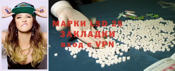 ГАЛЛЮЦИНОГЕННЫЕ ГРИБЫ Осташков