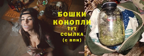 ГАЛЛЮЦИНОГЕННЫЕ ГРИБЫ Осташков
