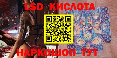 ПСИЛОЦИБИНОВЫЕ ГРИБЫ Гусев