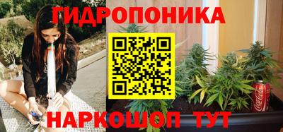 ПСИЛОЦИБИНОВЫЕ ГРИБЫ Гусев