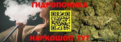 ПСИЛОЦИБИНОВЫЕ ГРИБЫ Гусев