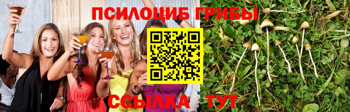 Псилоцибиновые грибы прущие грибы Ейск