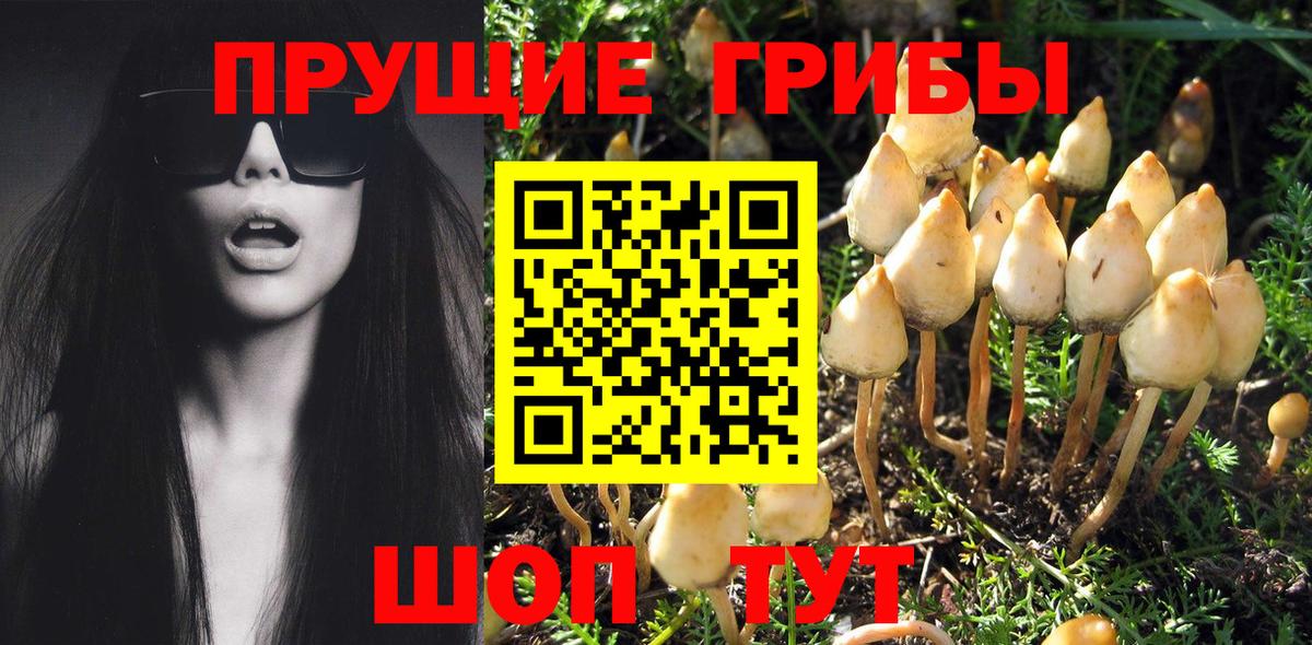 Псилоцибиновые грибы Psilocybe  Галлюциногенные грибы ЛСД  Вход с VPN  Ейск 